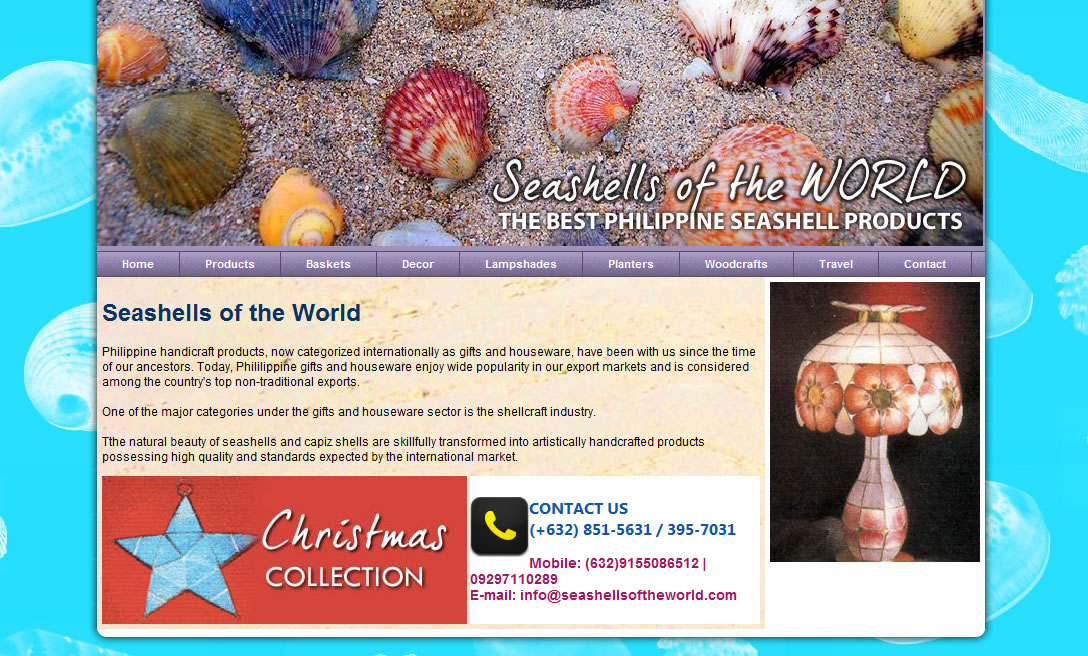Seashells of the World